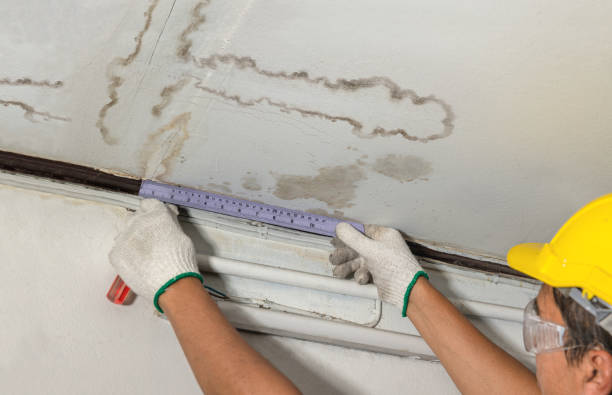 Reliable Flood Cleanup contractor in Belle Mead, NJ by Water Damage Irwin